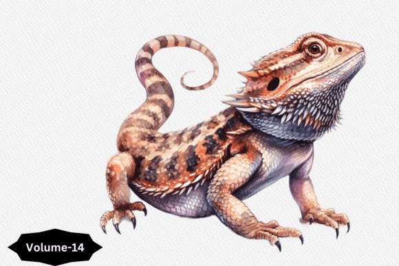 Unlocking Creativity with Cute Bearded Dragon Sublimation Clipart